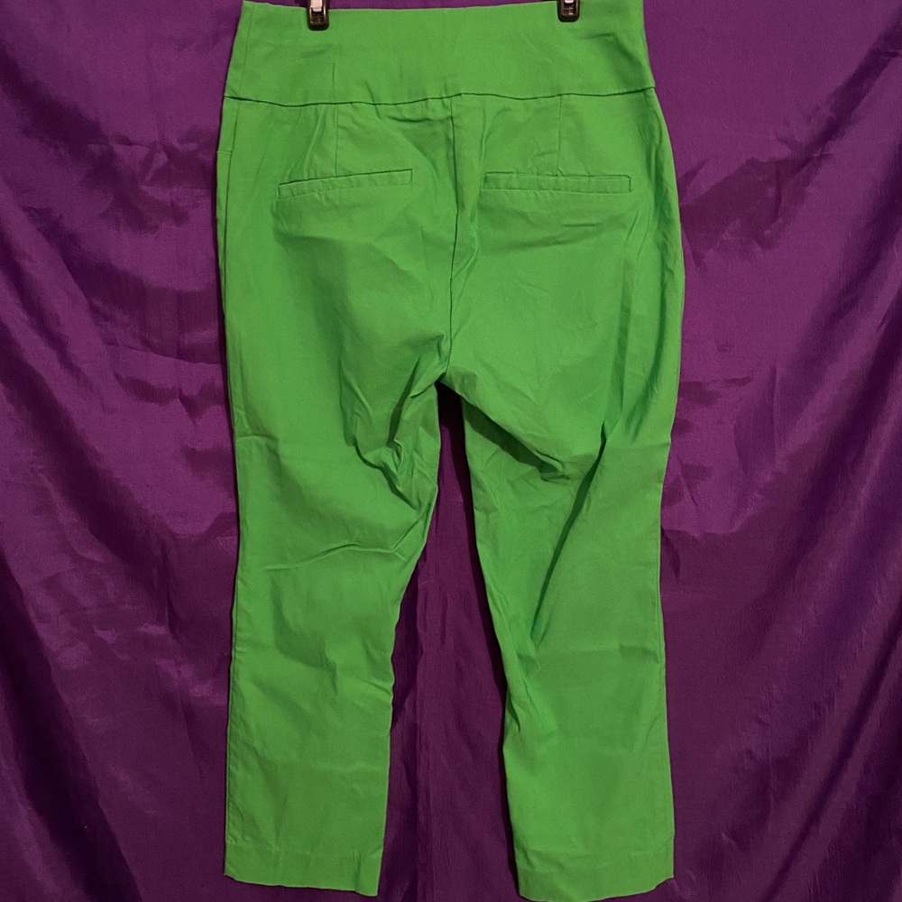 New York & Company Vibrant Kelly Green Petite Jegging Pants. Size S Petite. - Picture 2 of 4